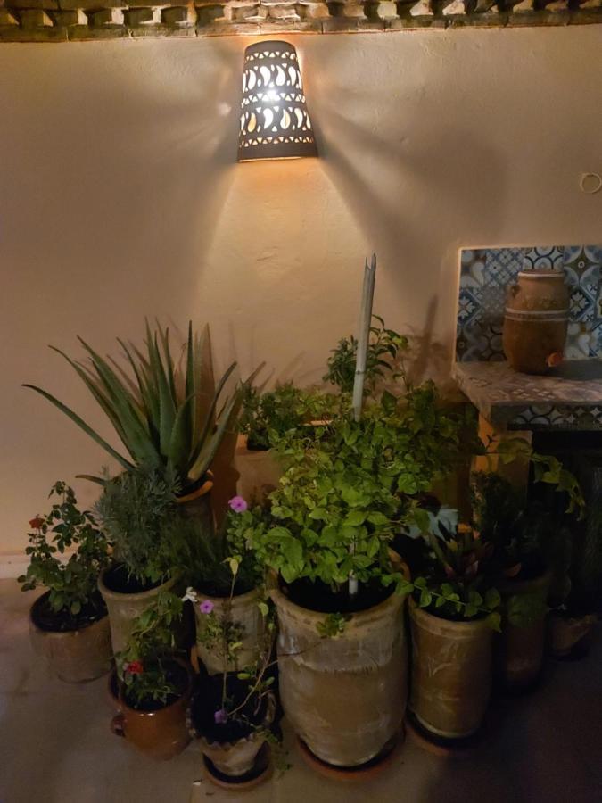 Riad Dar Karam Marrakesh Eksteriør bilde